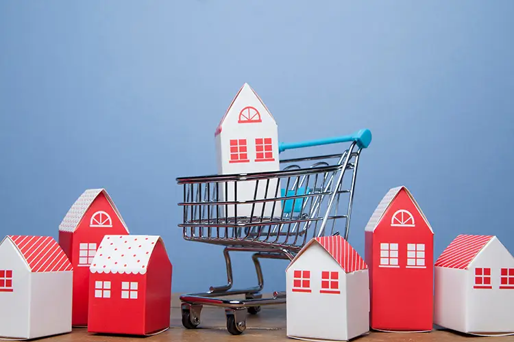 Model house in a small shopping cart
